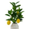 (2 Pack)14.5" Artificial Lemon Tree in White Ceramic Vase