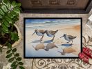 Sandpipers Doormat Front Door Mat Indoor Outdoor Rugs for Entryway, Non Slip Washable Low Pile, 24H X 36W